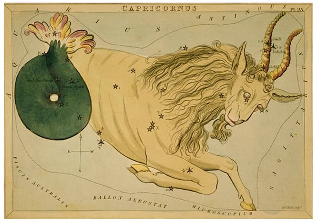 capricorn