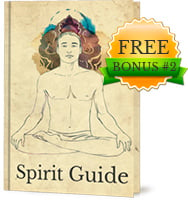 Spirit Gudie Guide