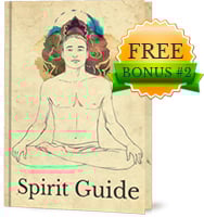 Spirit Gudie Guide